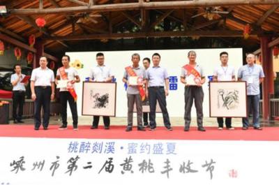 桃醉剡溪，蜜約盛夏 嵊州第二屆黃桃豐收節暨文藝創作匯演啟幕